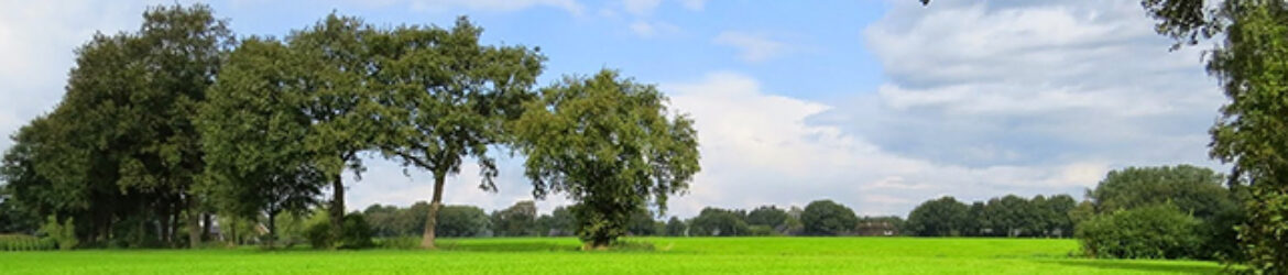 Plaatselijk Belang Brucht 