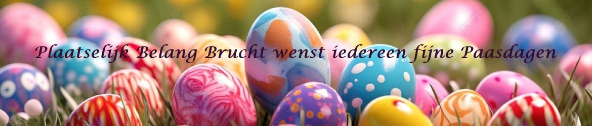 Plaatselijk Belang Brucht 